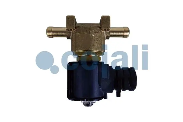 2880257 Cojali