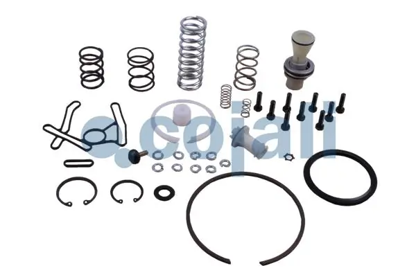Comprar 1607423 DAF Juego de reparación del separador de humedad (camión)