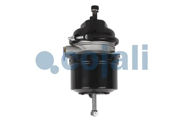 Cámara de freno con acumulador de energía 9254262000 Wabco