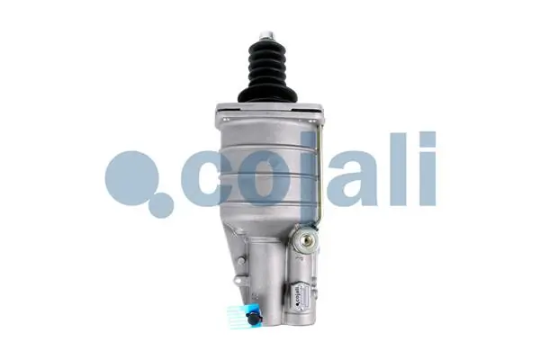2350118 Cojali