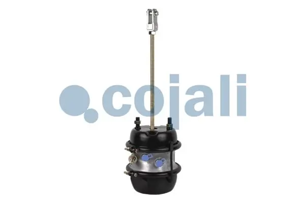2251427 Cojali