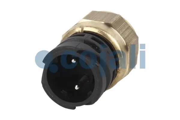 2260354 Cojali