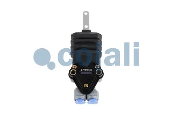 2214508 Cojali