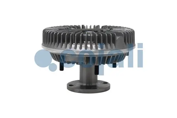 7063105 Cojali