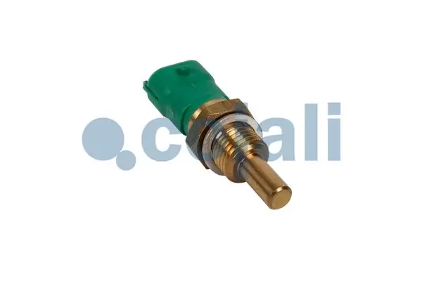Sensor de temperatura 281002471 Ford
