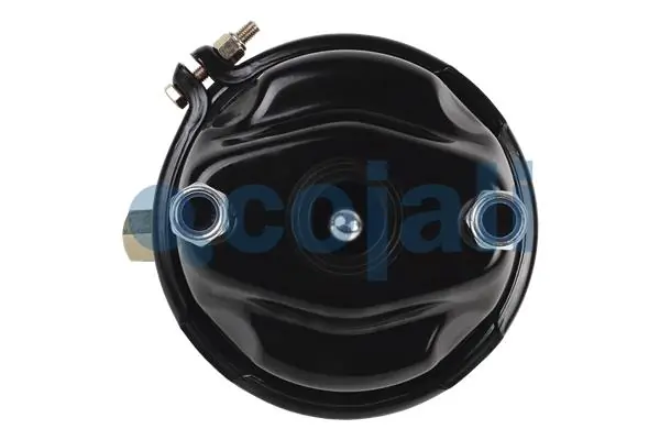 Cámara de freno con acumulador de energía MAN 81511016484 precio, desde 60,78 EUR