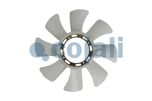 8116603 Cojali
