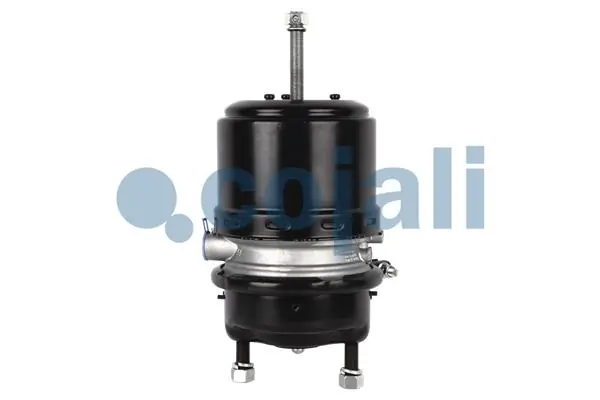 9254611010 Wabco Cámara de freno con acumulador de energía