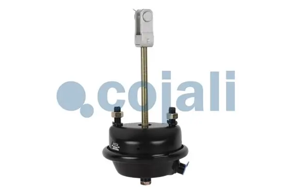 2251107 Cojali