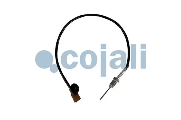 2262028 Cojali