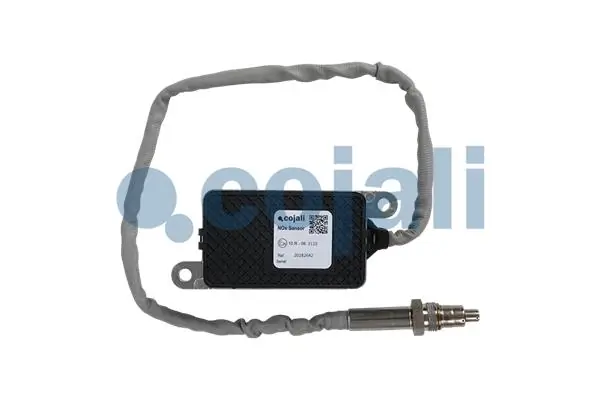 2269031 Cojali