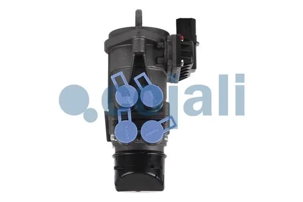 354005 Cojali