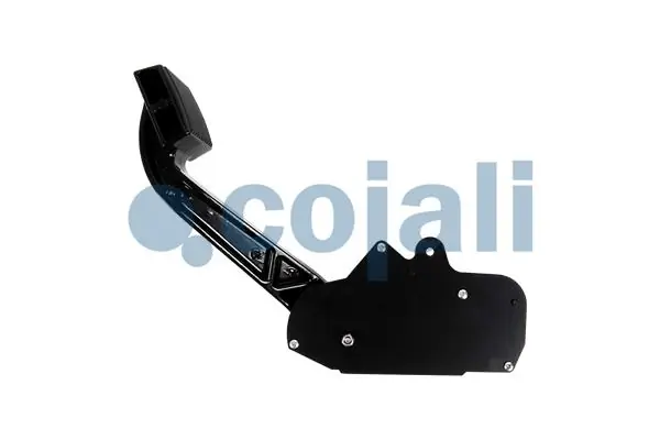 2260723 Cojali