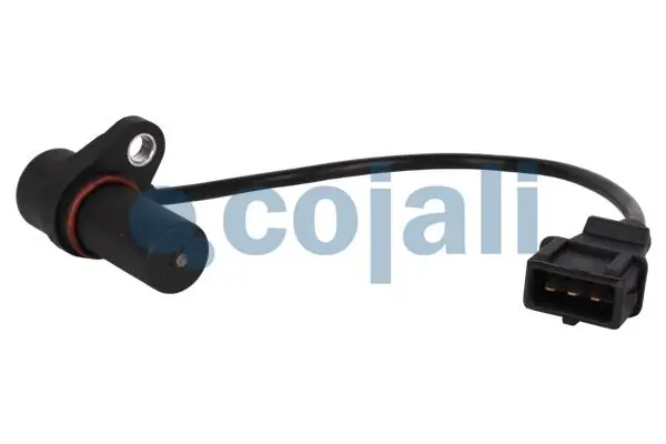 2260193 Cojali