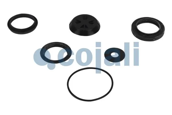 6012182 Cojali