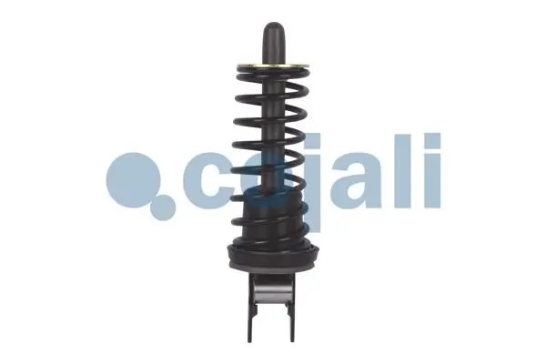 6073004 Cojali