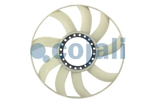 8110606 Cojali