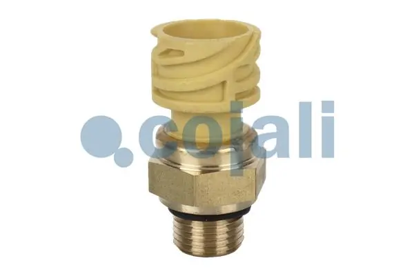 2260284 Cojali