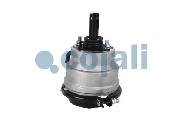 Comprar 504191316 Iveco Cámara de freno con acumulador de energía