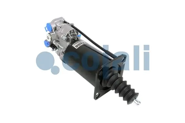 2250306 Cojali