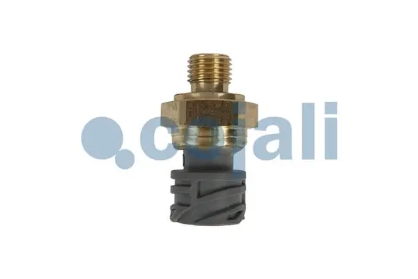 2260929 Cojali