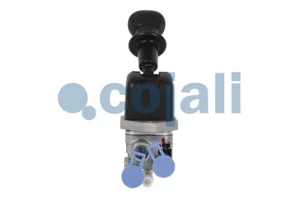 2324403 Cojali