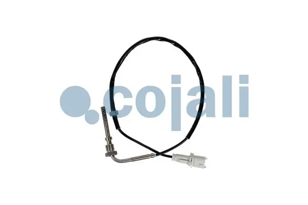 2262018 Cojali