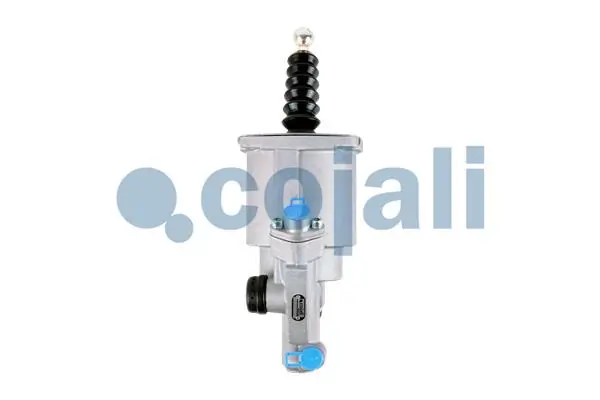 2550613 Cojali