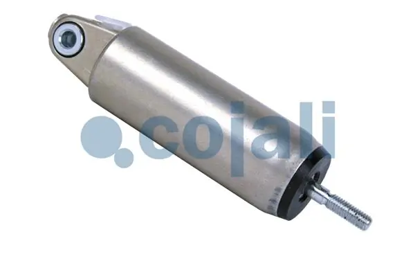 2880118 Cojali