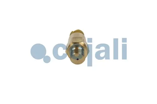  Sensor de presión de combustible MAN TGX 1