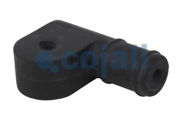 6002203 Cojali