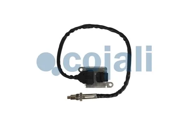2269083 Cojali