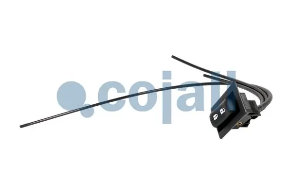 2880251 Cojali