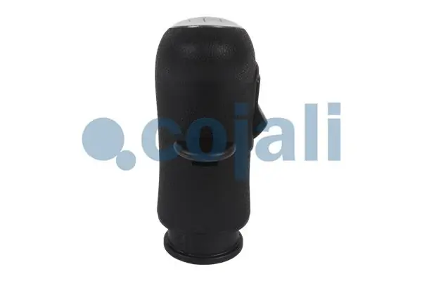 2880157 Cojali