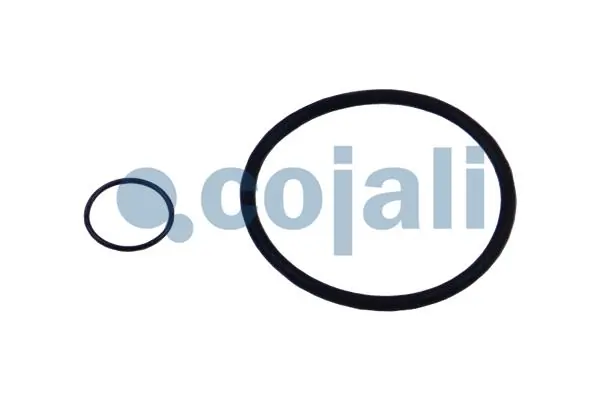 Comprar 13C0108086AA Otokar Juego de reparación del separador de humedad (camión)