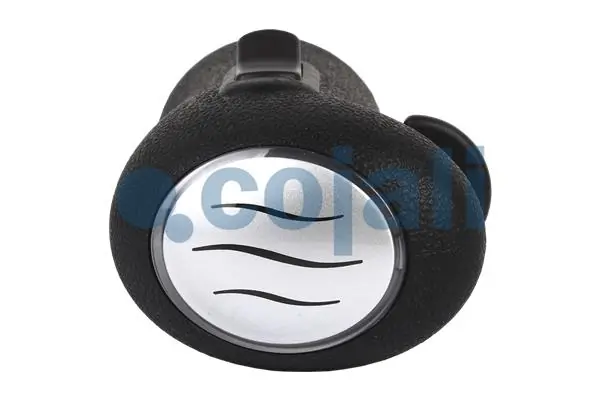 Pomo de palanca de marchas Renault (RVI) 5010639250