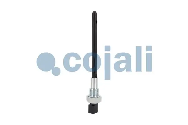 2260677 Cojali