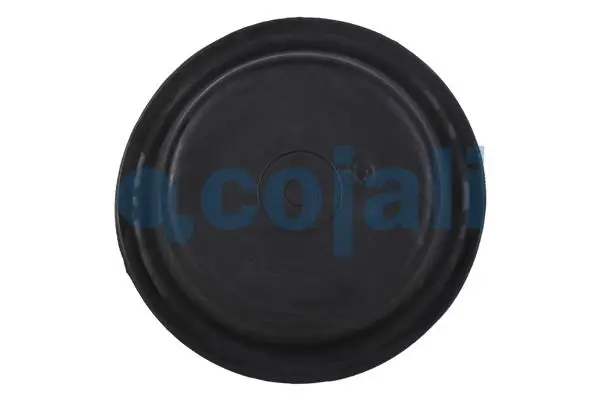 Membrana de cámara de freno BPW 0222030900 precio, desde 6,37 EUR