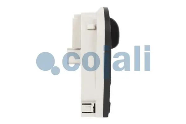 2260485 Cojali Defensa trasero