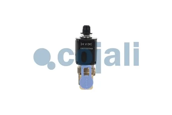 Válvula del repartidor Renault (RVI) 5010360034