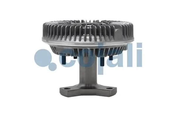 7053121 Cojali