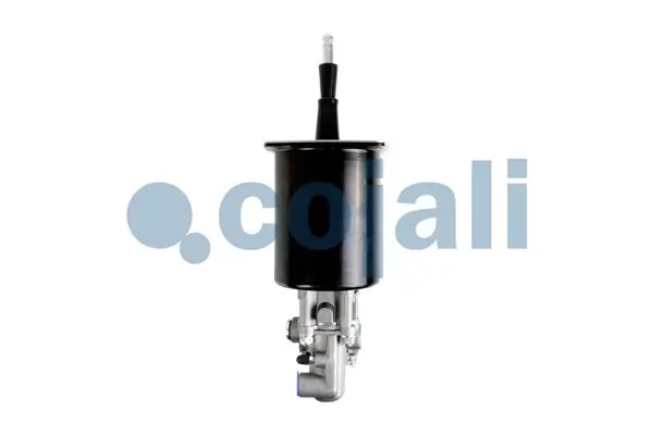 2250217 Cojali Servo de embrague
