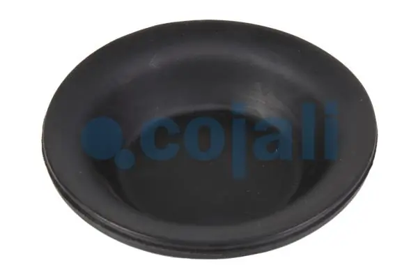 6001100 Cojali