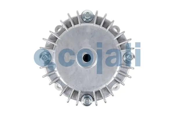 Cilindro de mariposa del escape del motor Cojali 2880245 precio, desde 418,31 EUR