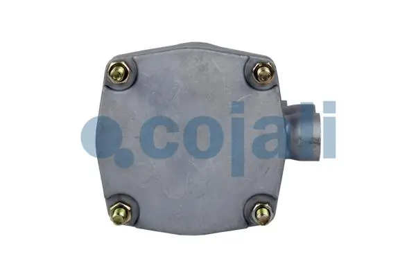  Renault (RVI) 5010260939