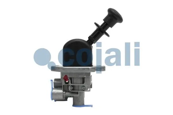 2224519 Cojali