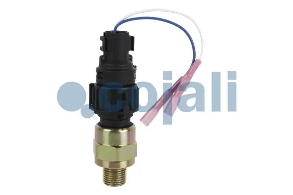 2260086 Cojali