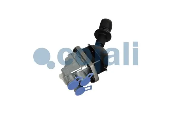 2324812 Cojali