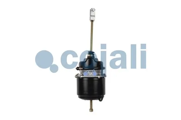 2251406 Cojali