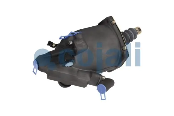 2550705 Cojali